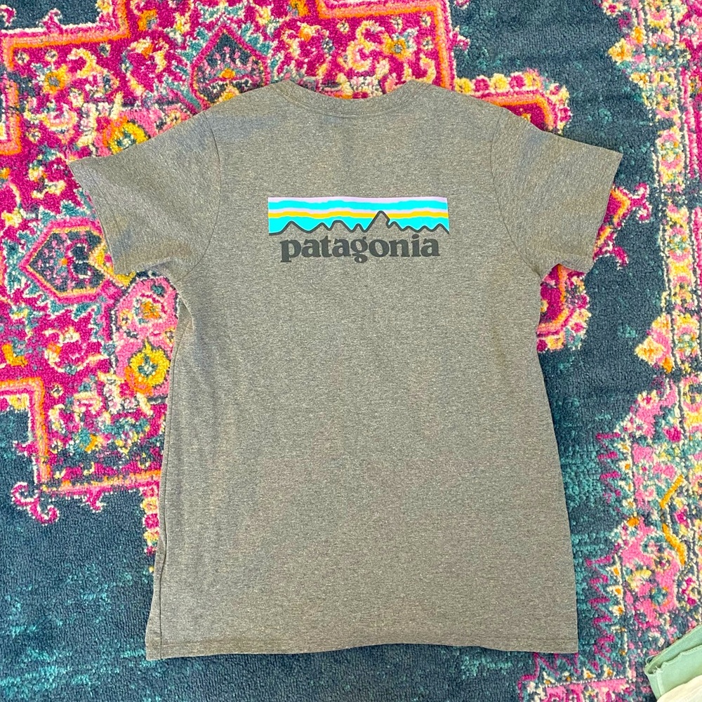 Patagonia T-shirt